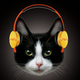 Illustration for article titled Yes, These Are $1000 Headphones For Cats